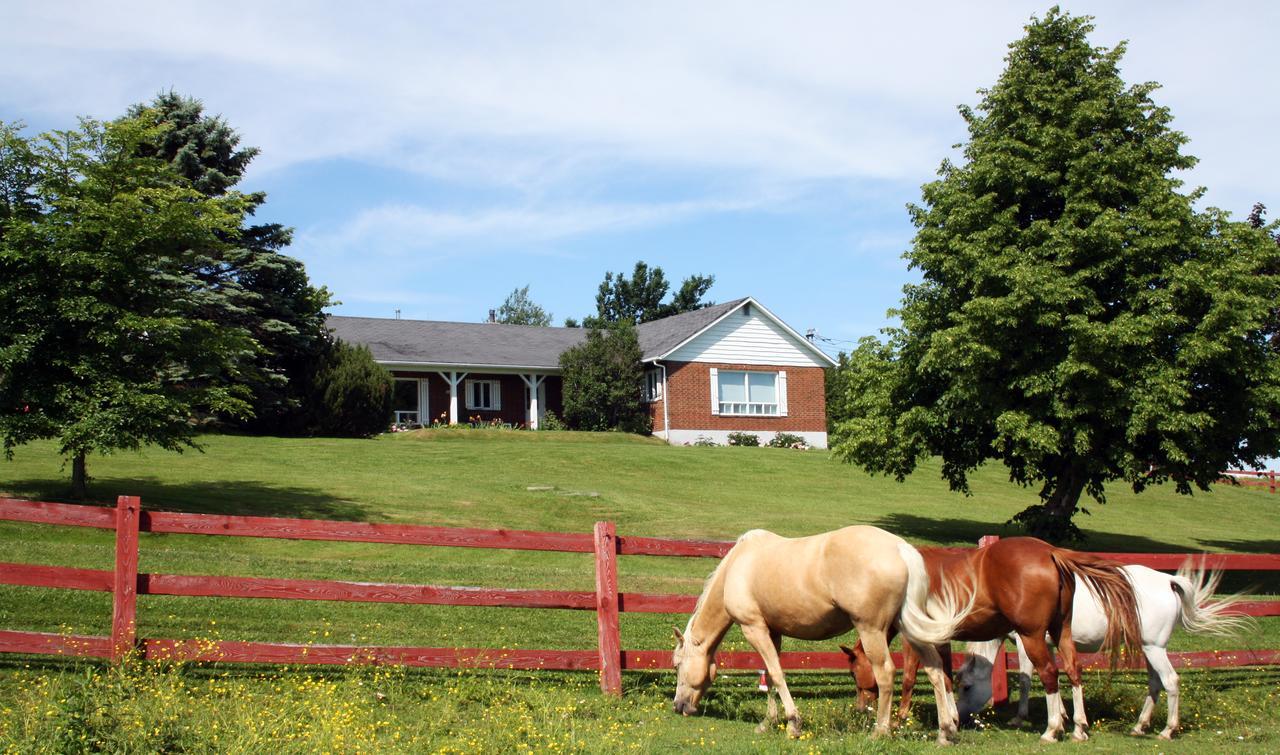 Ranch St-Hubert Saint-Hermenegilde Exterior foto